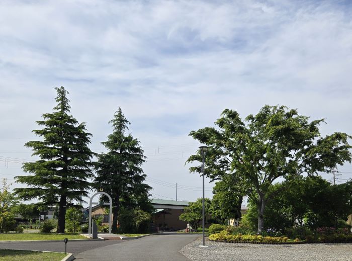 芸術の森展示室